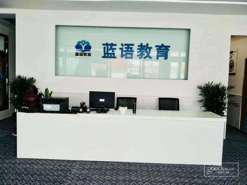 怀宁睿思教育咨询有限责任公司 蓝语教育
