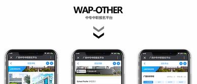 广西中专中职报名平台