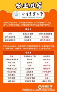 成人教育培训 宁夏成人教育 锯橙教育 查看