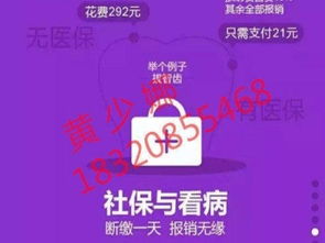 图 布吉社保代买续交,罗湖实体公司有意者咨询 深圳学历教育
