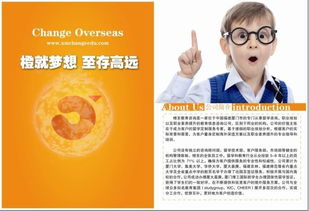 点亮未来，启迪梦想——橙至教育咨询图册引领教育新航向